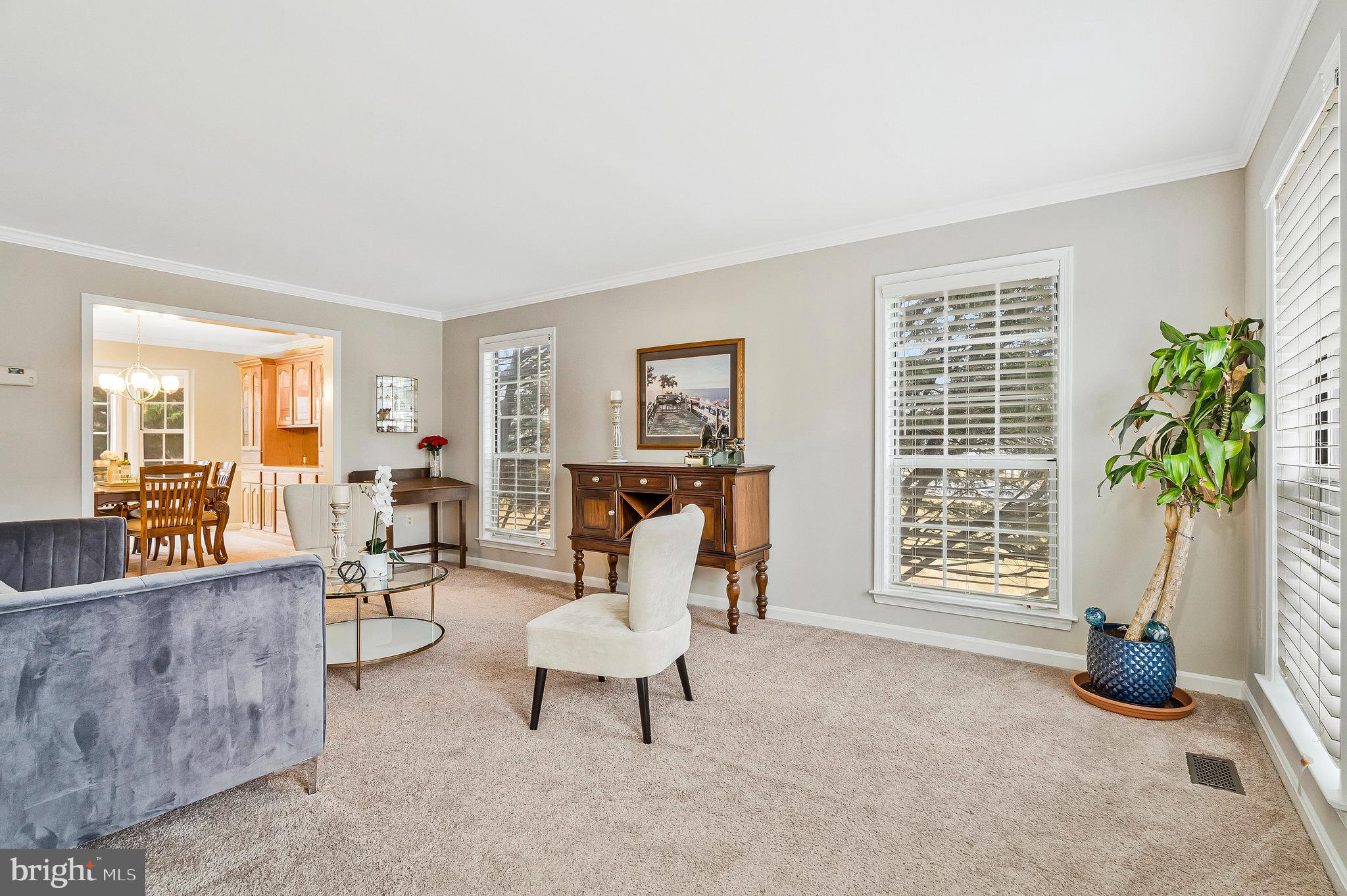1545 Kingstream Circle Herndon, VA 20170 - Photo 10 of 71 a living room with furniture and a potted plant