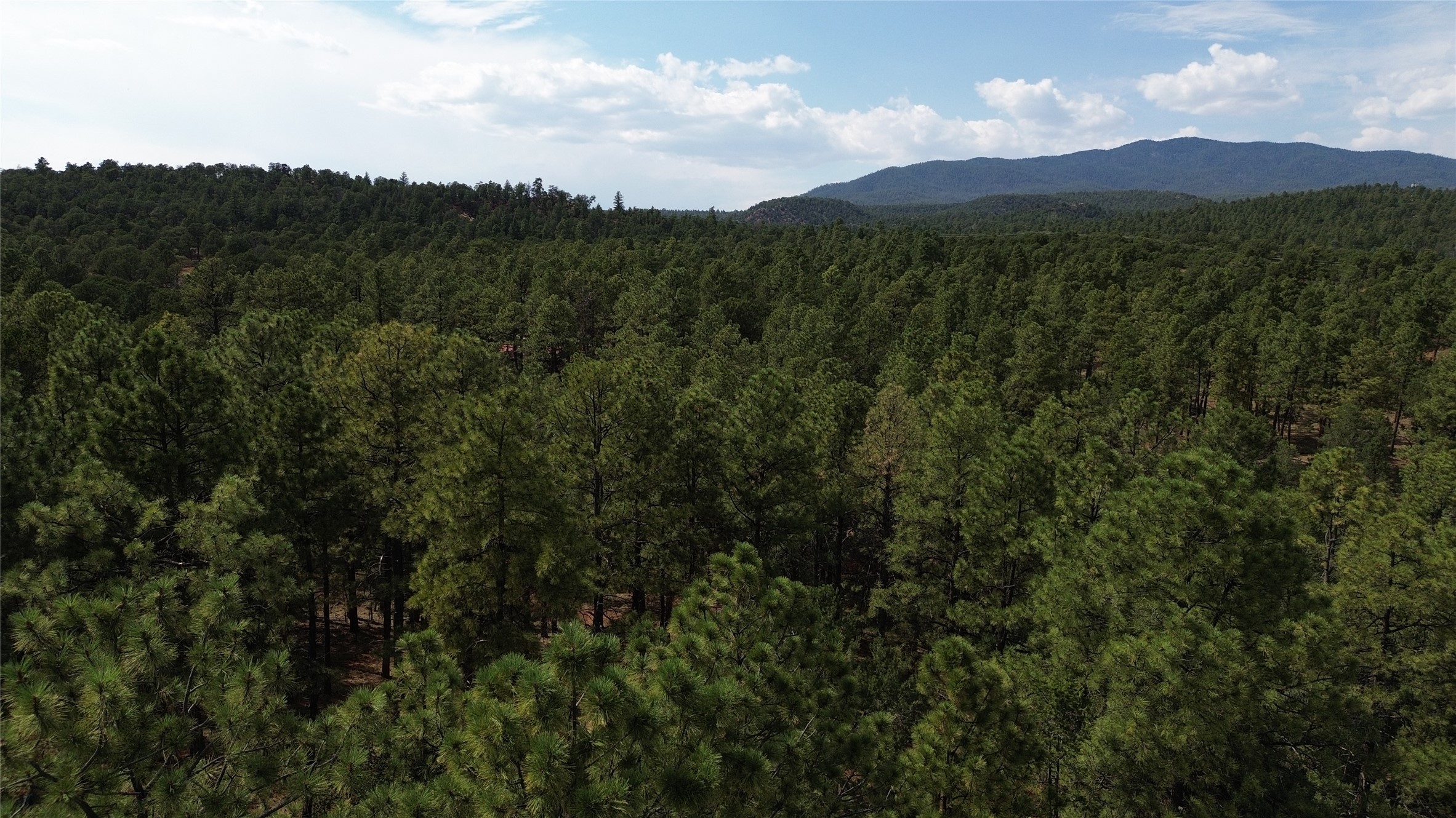 7 Log House Road Glorieta, NM 87535 - Photo 69 of 74 Gallery Image 69