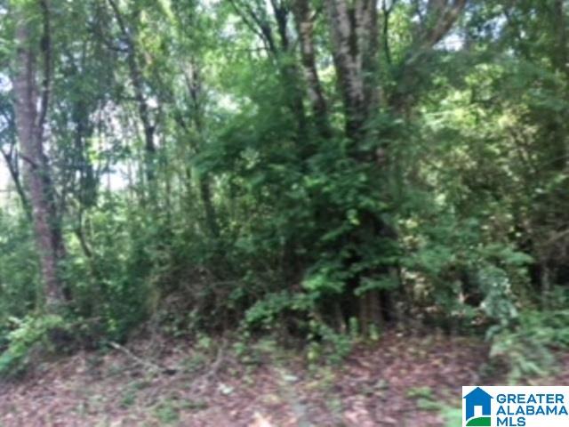 325 Springhill Road, Unit 1 Talladega, AL 35160 - Photo 17 of 31