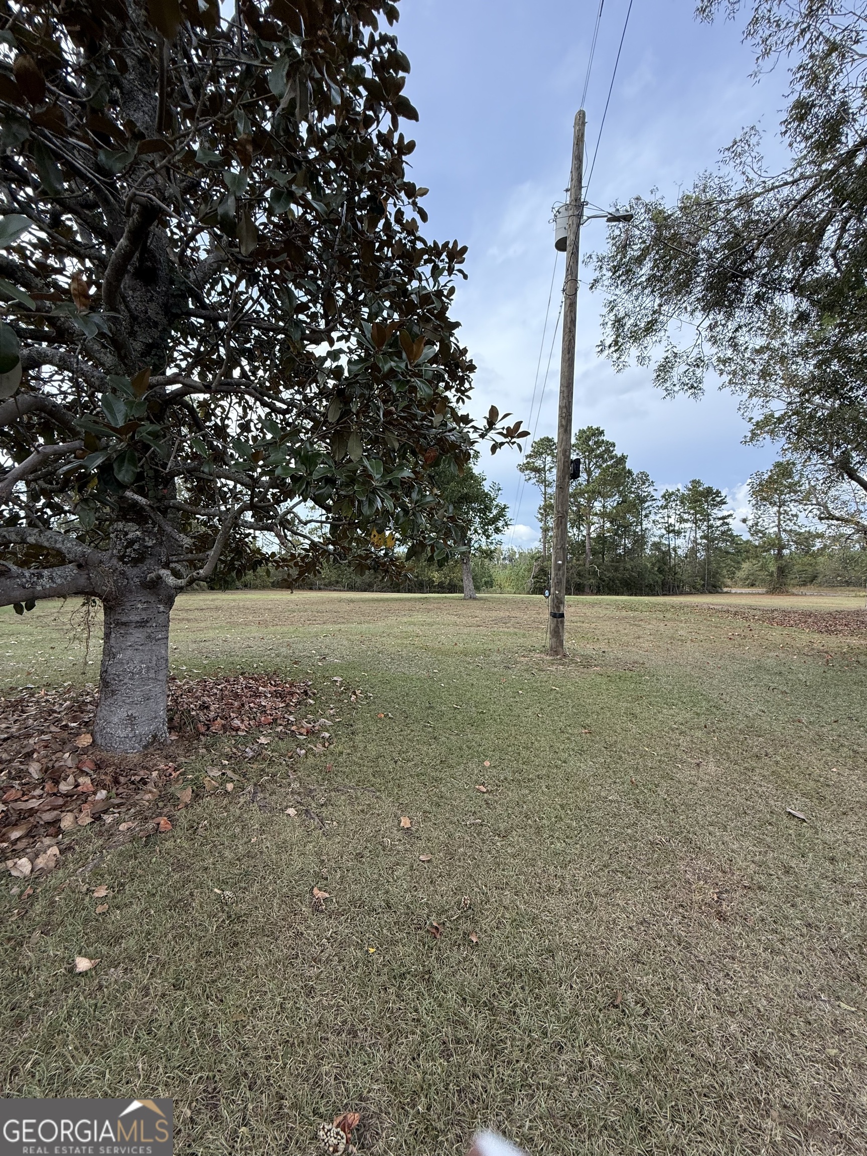 2010 Page Road Harrison, GA 31035 - Photo 14 of 45