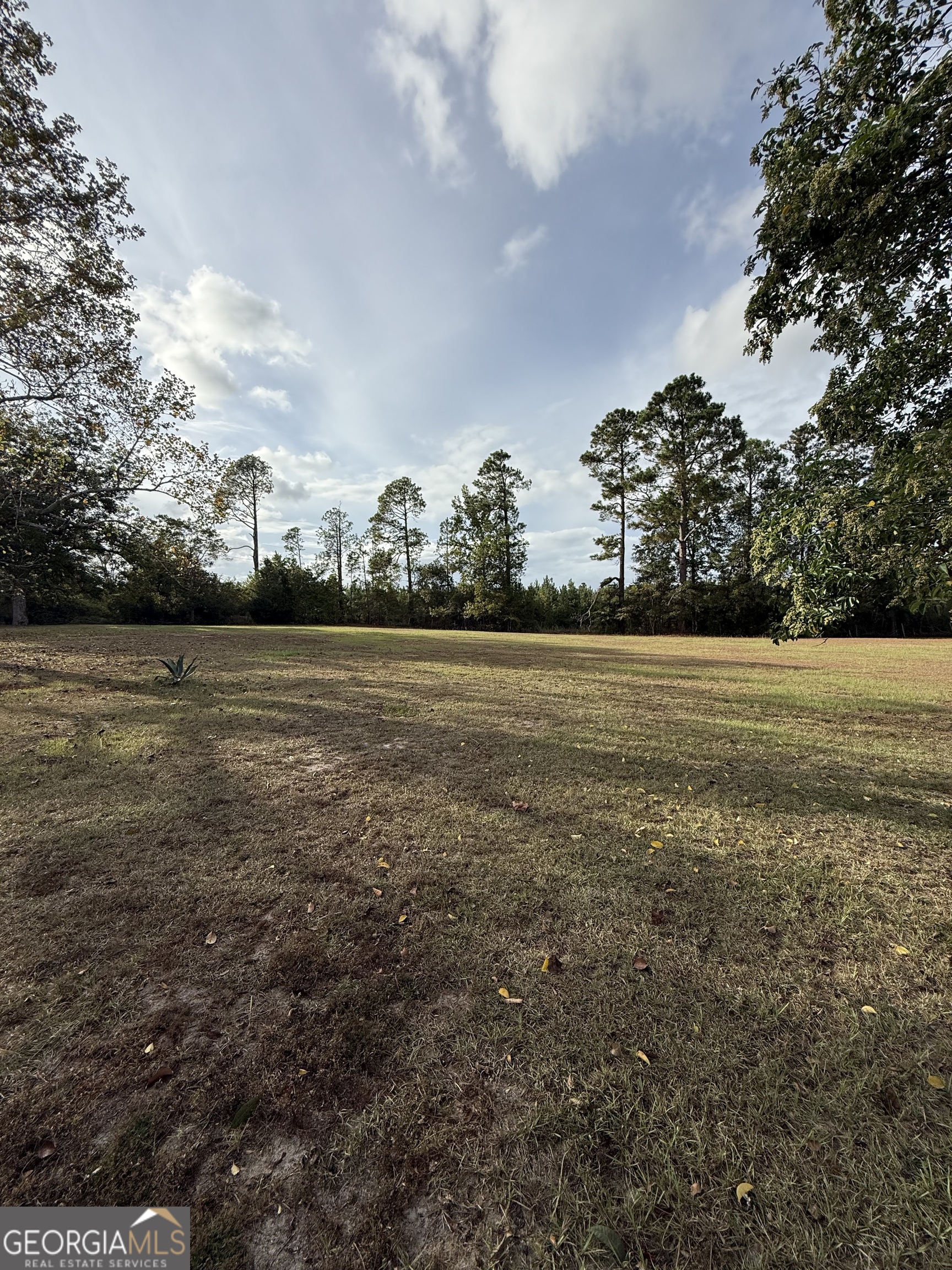 2010 Page Road Harrison, GA 31035 - Photo 6 of 45