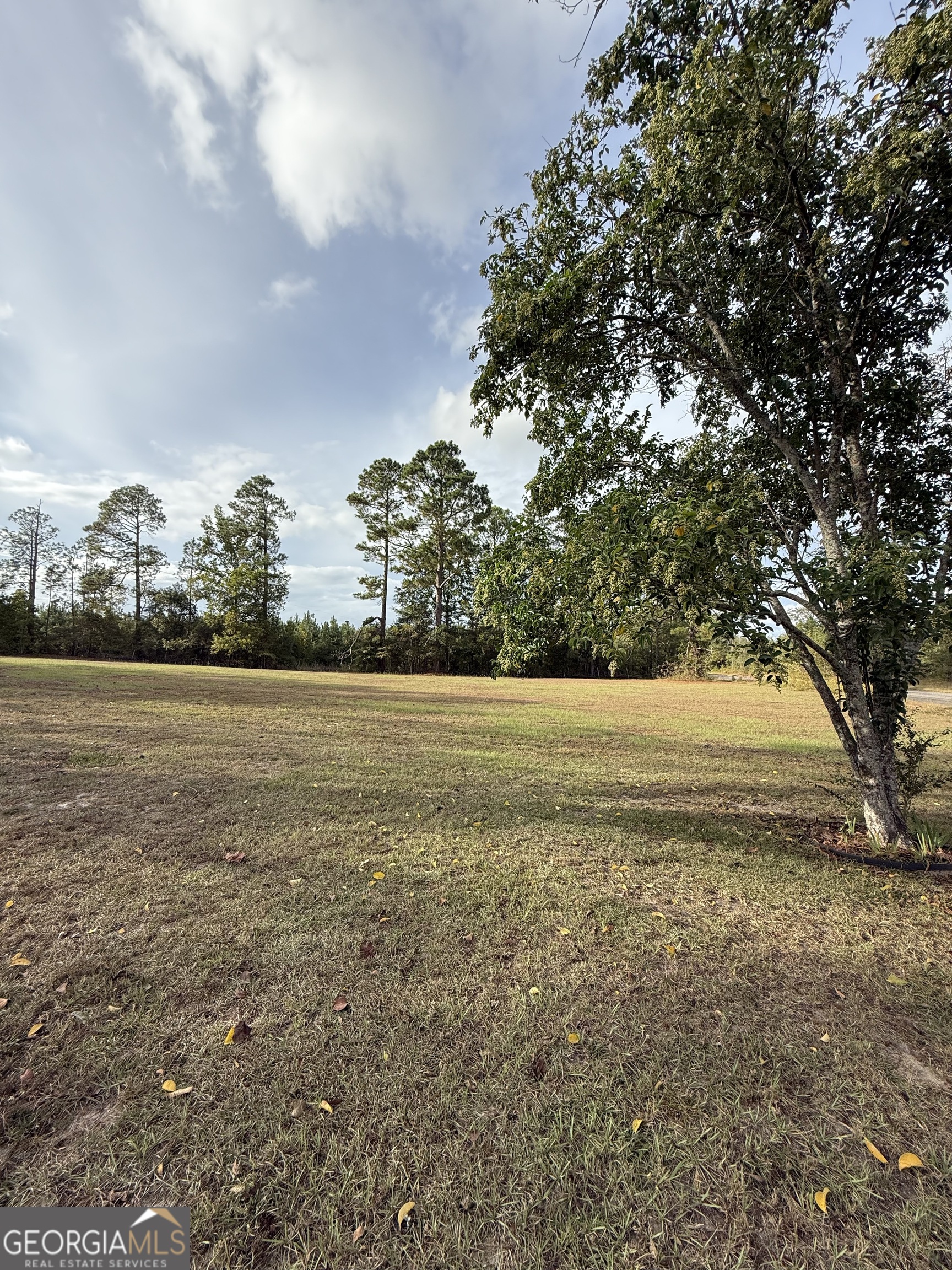 2010 Page Road Harrison, GA 31035 - Photo 7 of 45