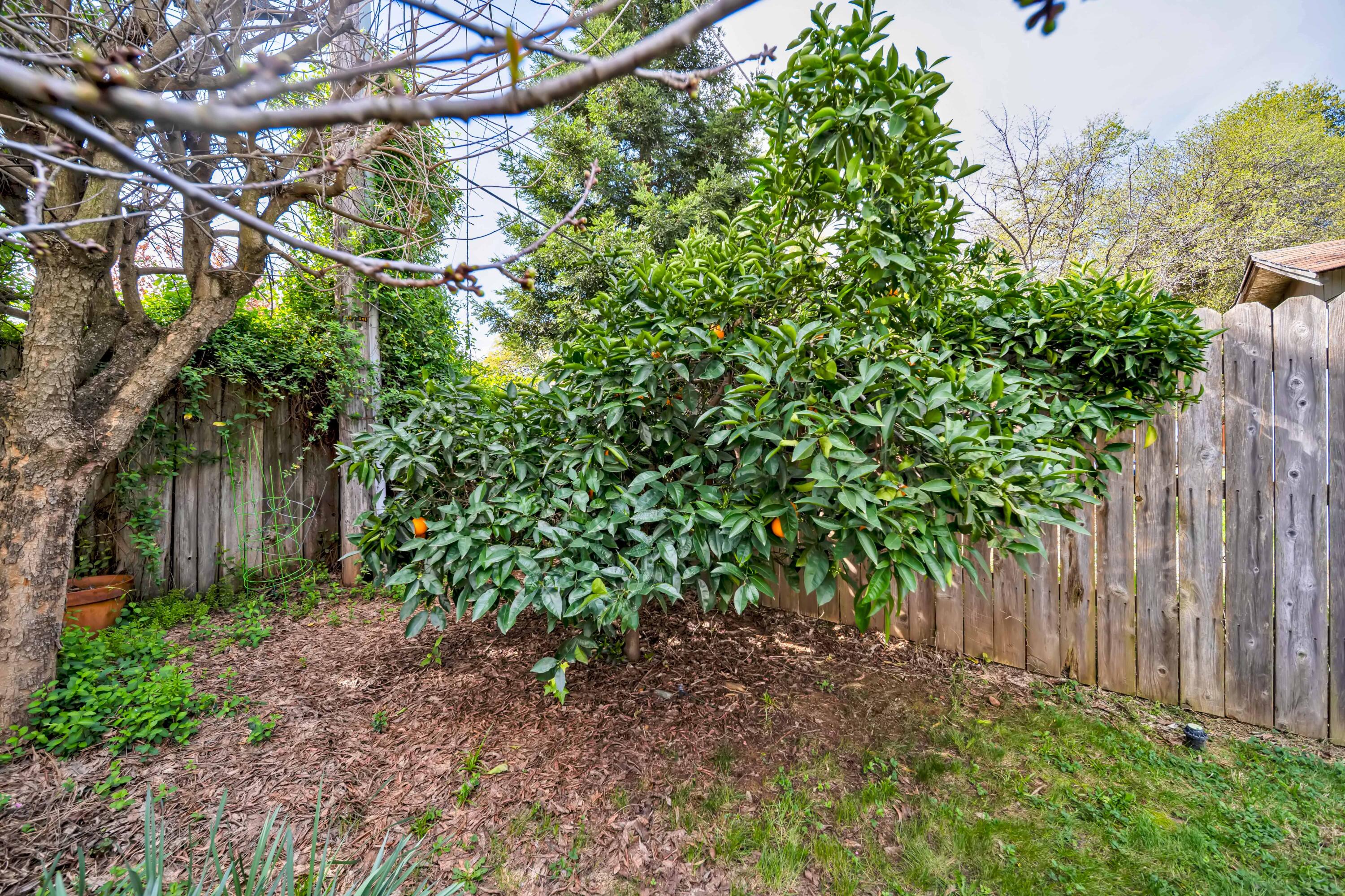 2195 Rancho Road Redding, CA 96002 - Photo 40 of 47 a backyard of a house with lots of green space