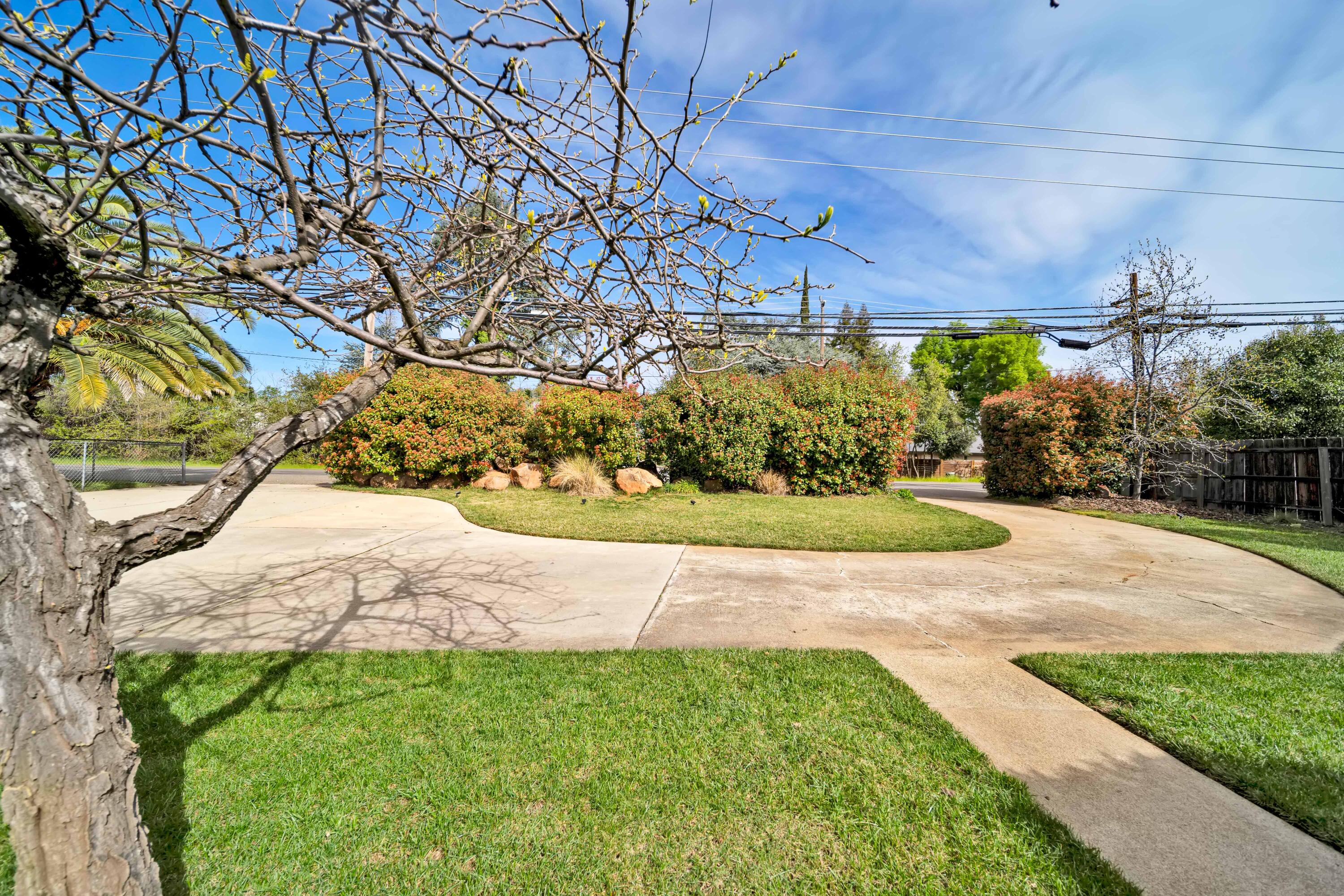 2195 Rancho Road Redding, CA 96002 - Photo 5 of 47 a view of a yard with flower plants
