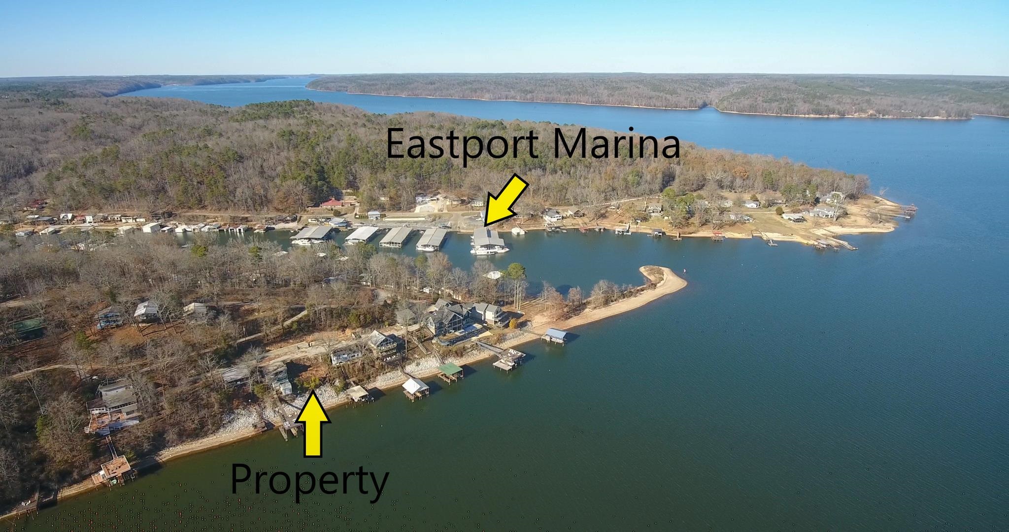 3 Cr 452 Road Iuka, MS 38852 - Photo 2 of 5 a view of water pool with mountain