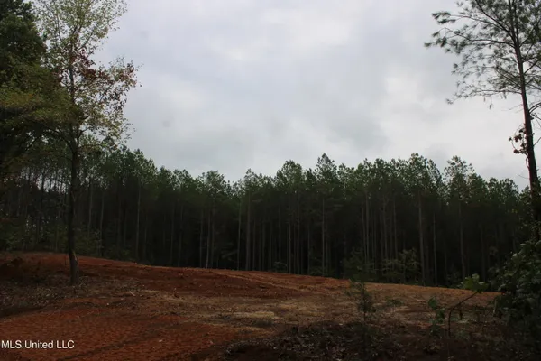 $89,000 | 601 Co Road, Randolph, MS 38864