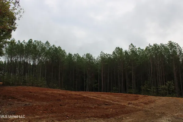 $89,000 | 601 Co Road, Randolph, MS 38864