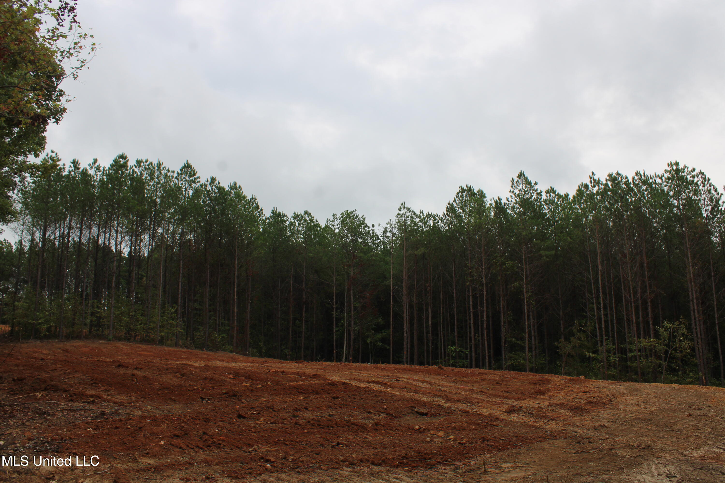 601 Co Road Pontotoc, MS 38863 - Photo 4 of 7 IMG_4612