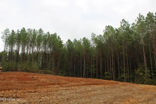 $89,000 | 601 Co Road, Randolph, MS 38864