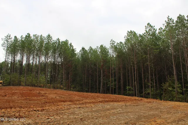 $89,000 | 601 Co Road, Pontotoc, MS 38863