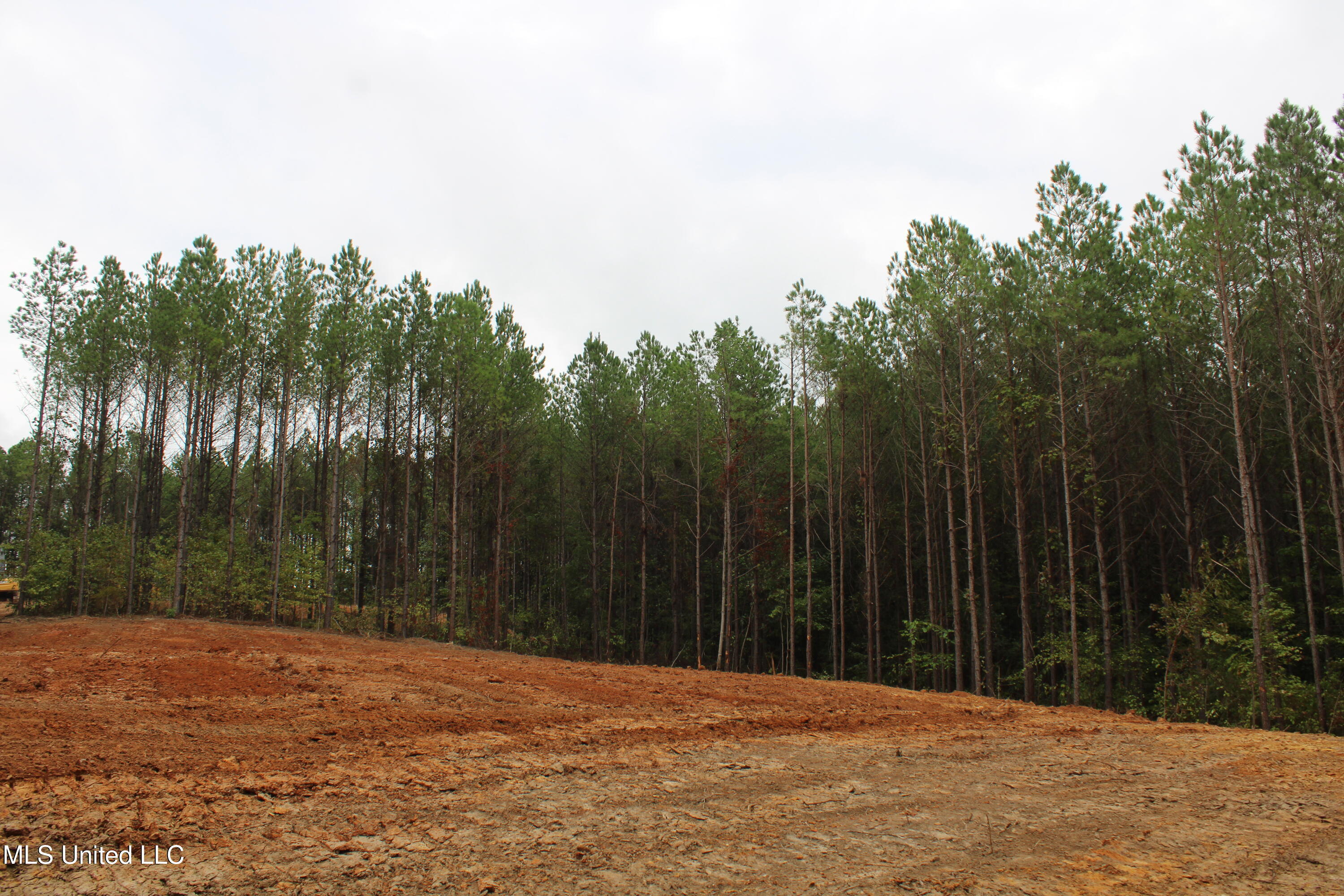 601 Co Road Pontotoc, MS 38863 - Photo 5 of 7 IMG_4613