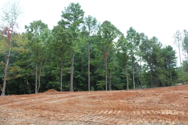 $89,000 | 601 Co Road, Randolph, MS 38864