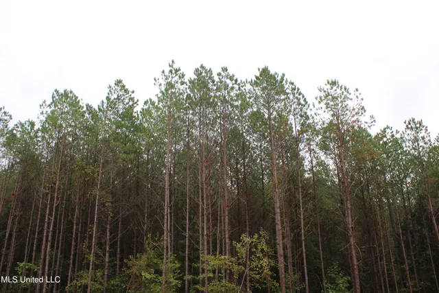 $89,000 | 601 Co Road, Pontotoc, MS 38863