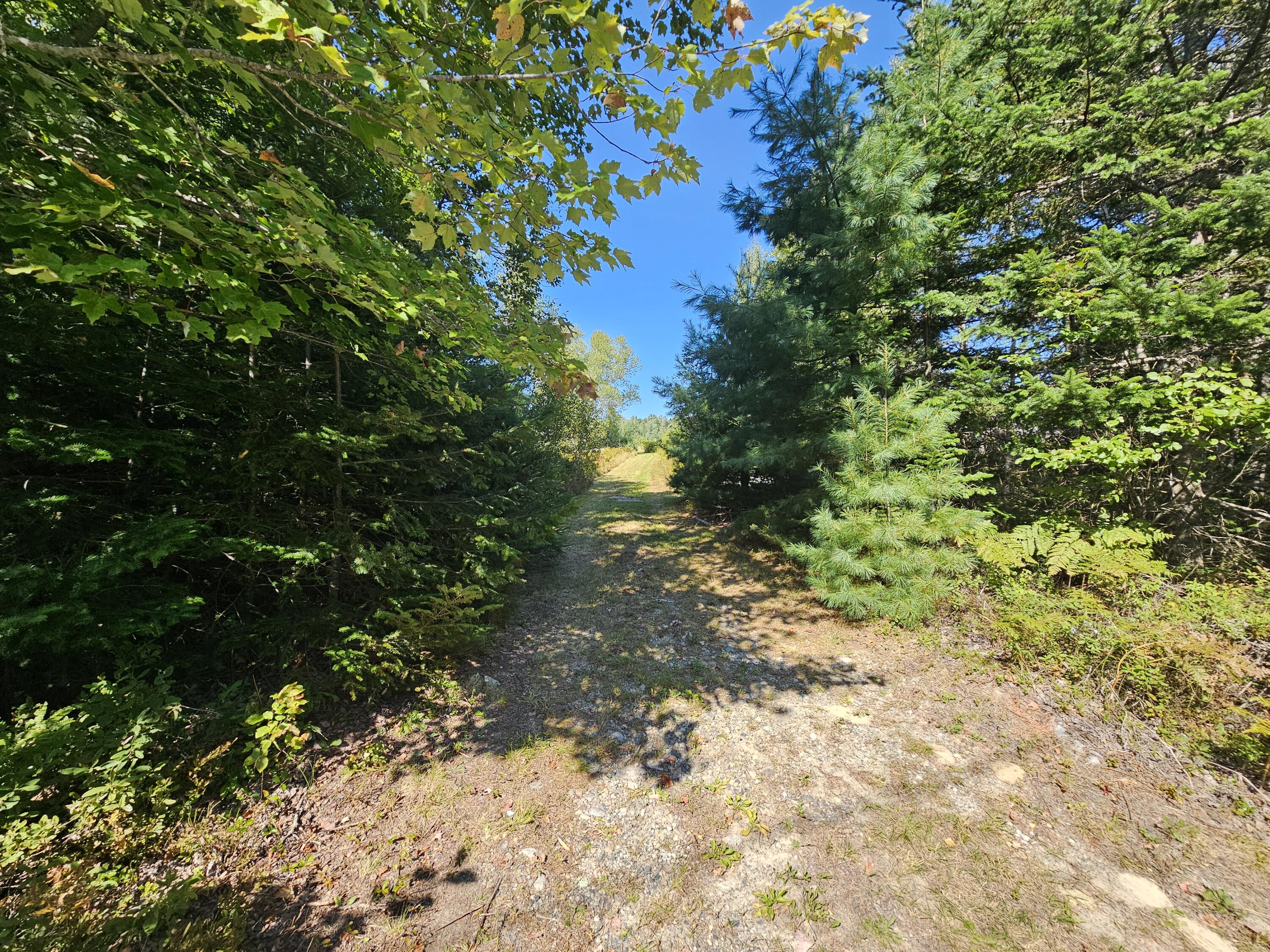 4 Map Road Machias, ME 04654 - Photo 34 of 36 20240905_142325