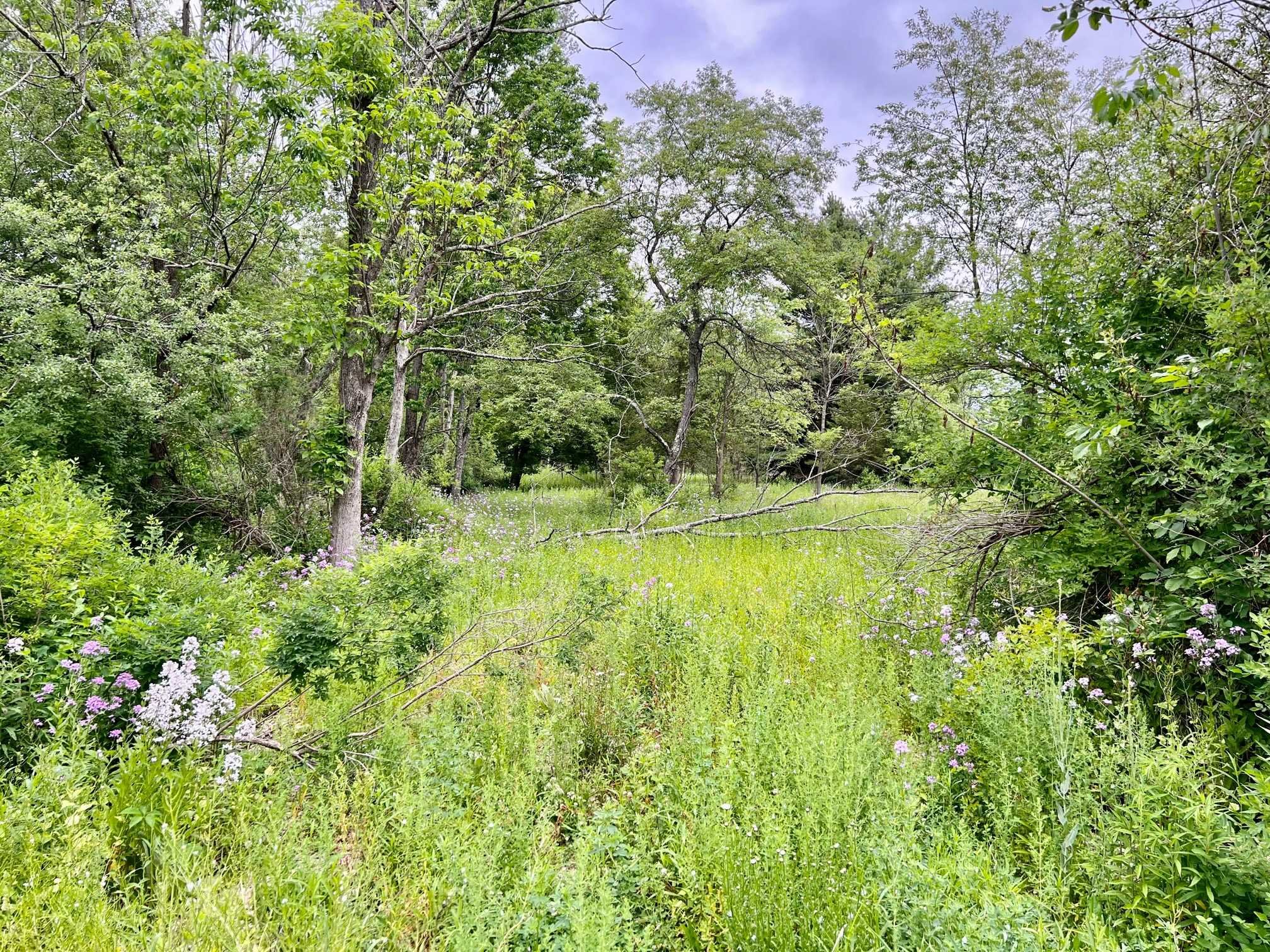 Sharon Turnpike Millbrook, NY 12545 - Photo 4 of 5 a view of a garden from a building