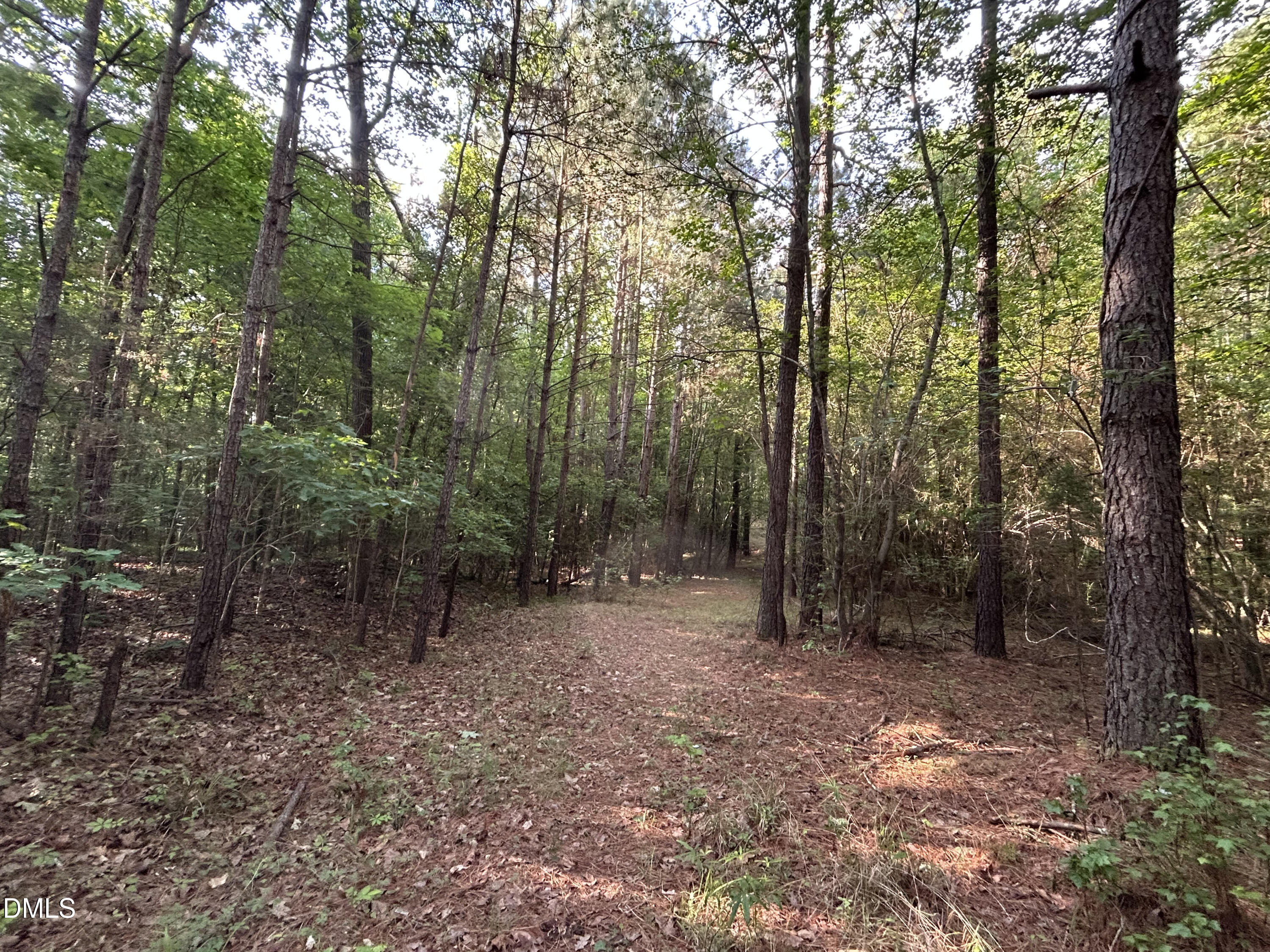 0 Beaver Dam Road Creedmoor, NC 27522 - Photo 12 of 13 IMG_7634