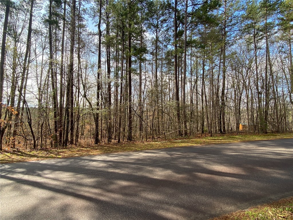 Lot 23 Kokomo Way Seneca, SC 29672 - Photo 1 of 12