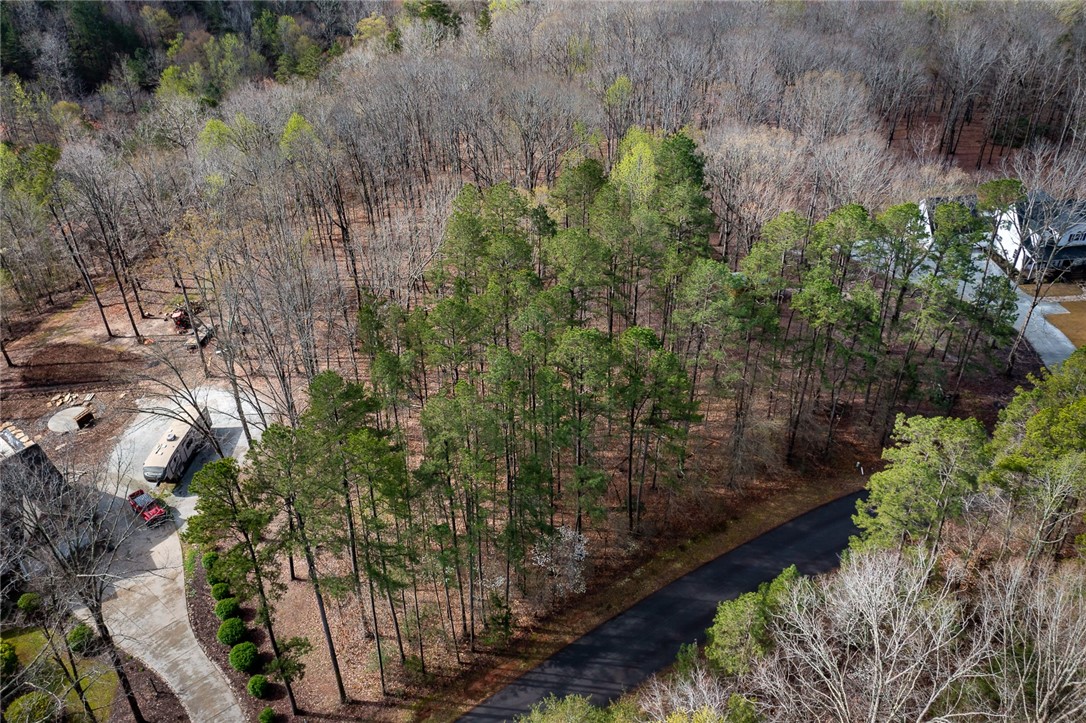Lot 23 Kokomo Way Seneca, SC 29672 - Photo 12 of 12