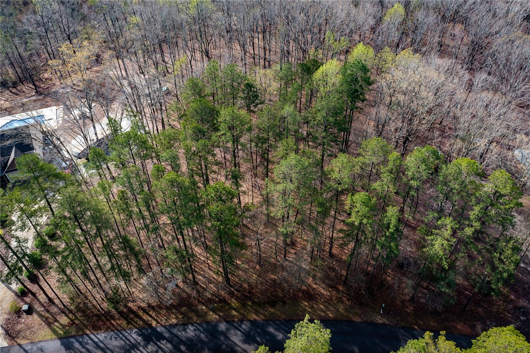 Lot 23 Kokomo Way Seneca, SC 29672 - Photo 2 of 12