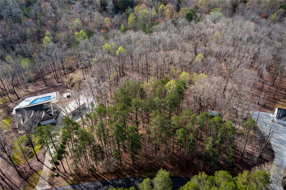 Lot 23 Kokomo Way Seneca, SC 29672 - Photo 3 of 12