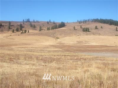 1 Bettas Road Ellensburg, WA 98926 - Photo 1 of 1 Gallery Image 1