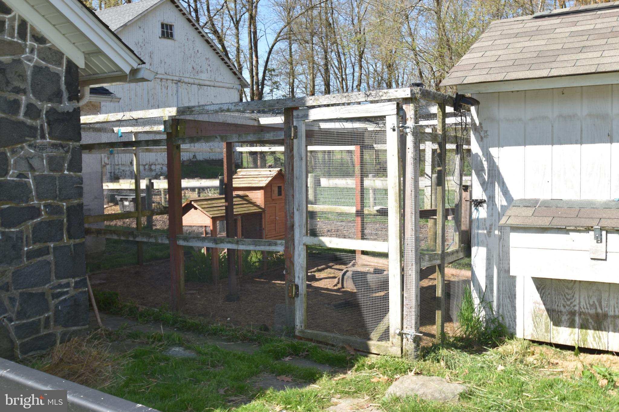 860 California Road Quakertown, PA 18951 - Photo 17 of 74 Chickens home