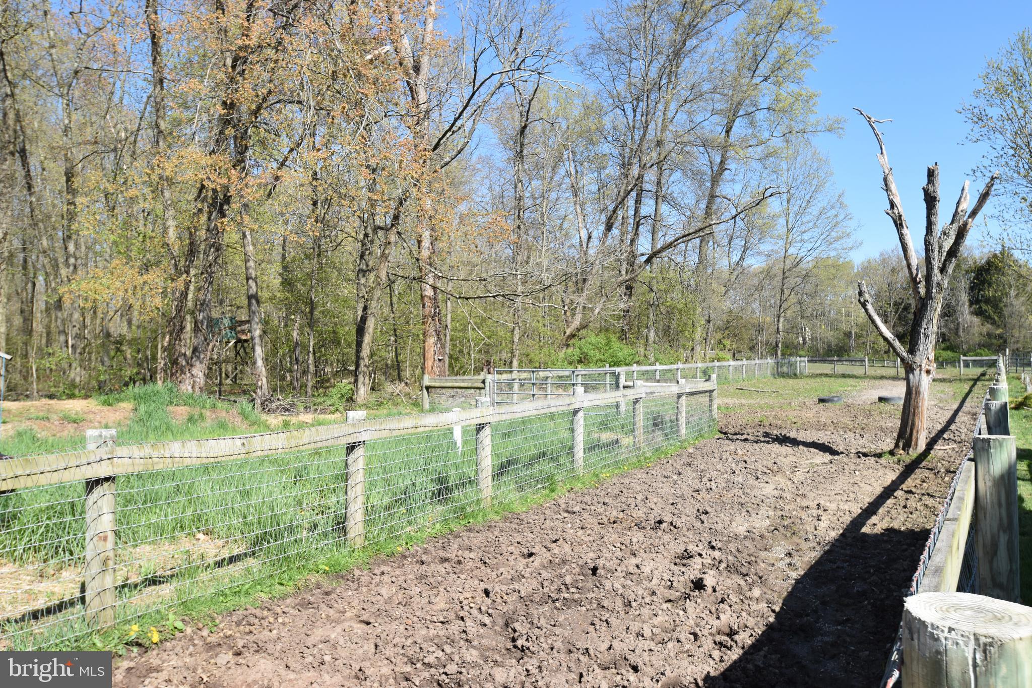 860 California Road Quakertown, PA 18951 - Photo 9 of 74 Pasture way