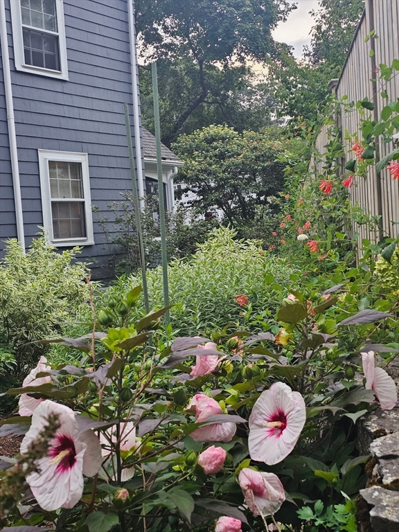 10 Hillsdale Road Arlington, MA 02476 - Photo 37 of 42 Gallery Image 37