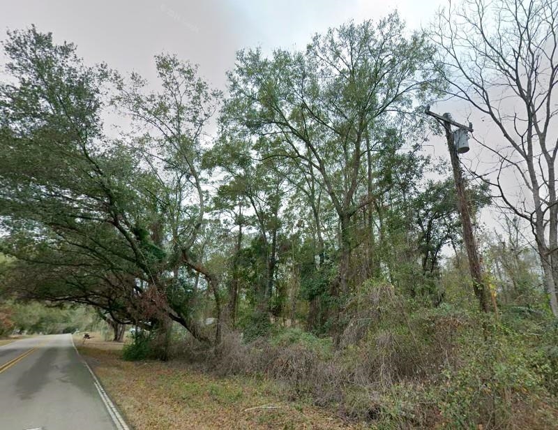 0 Proctor Road Tallahassee, FL 32309 - Photo 7 of 8