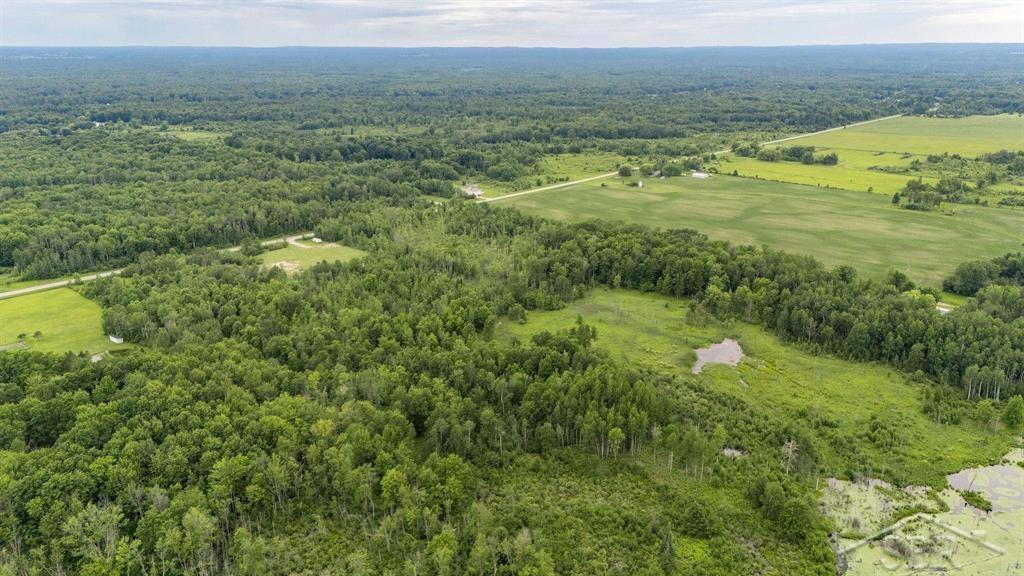 3428 3 Rivers Road Gladwin, MI 48624 - Photo 4 of 28