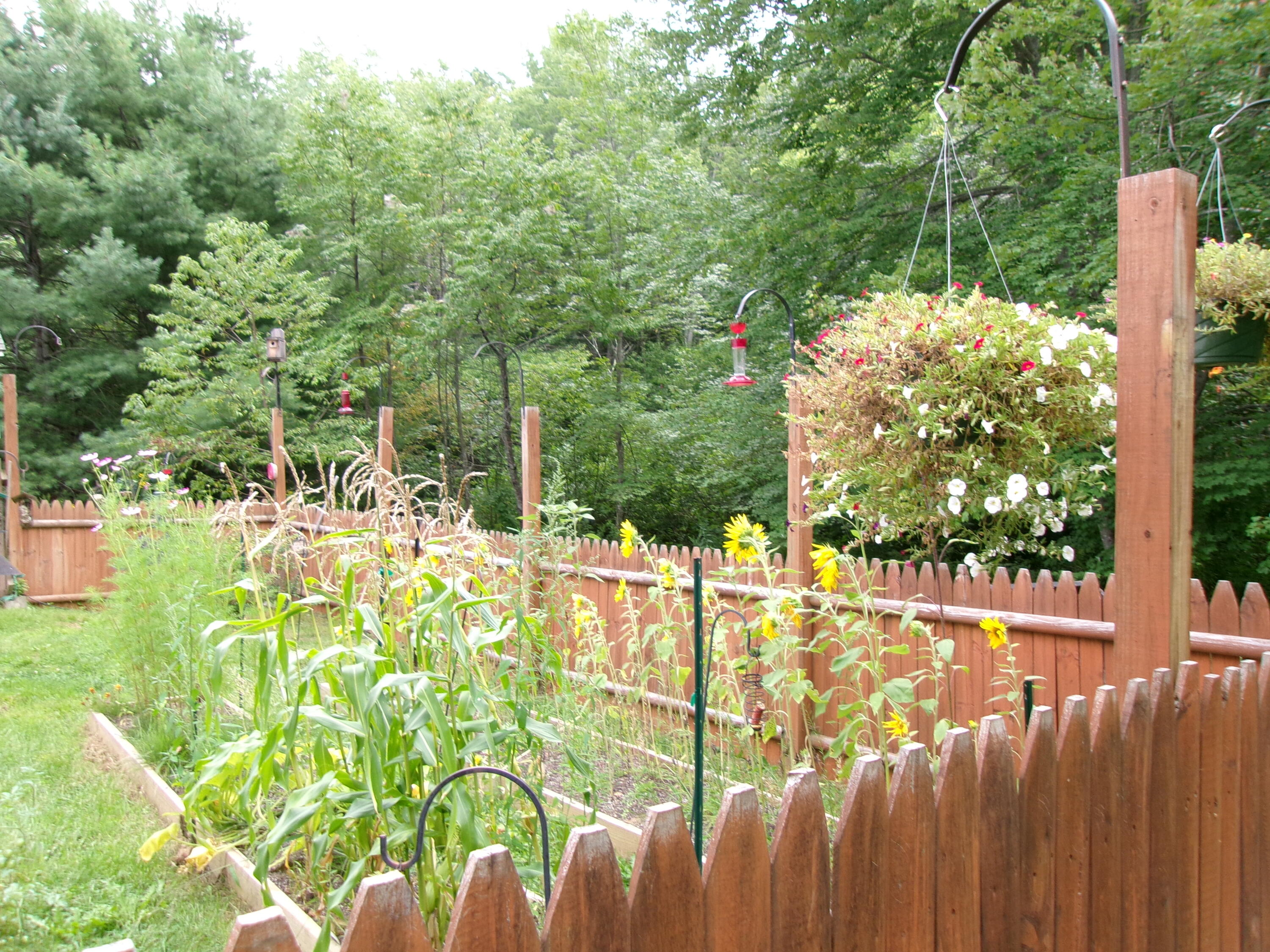 975 Sawyer Road Greene, ME 04236 - Photo 22 of 33 Fenced for pets.