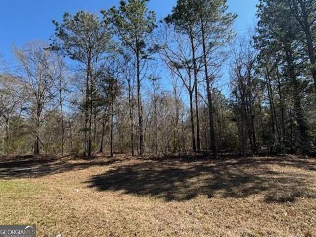 a view of outdoor space with trees