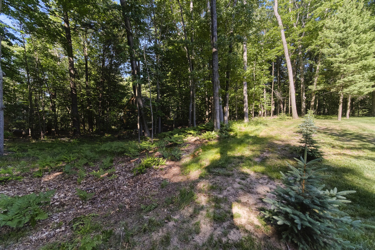 10826 Old Freesoil Road Manistee, MI 49660 - Photo 47 of 58