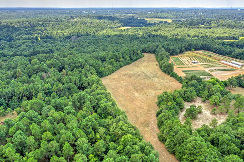 182 New Bridge Road Aiken, SC 29801 - Photo 13 of 18