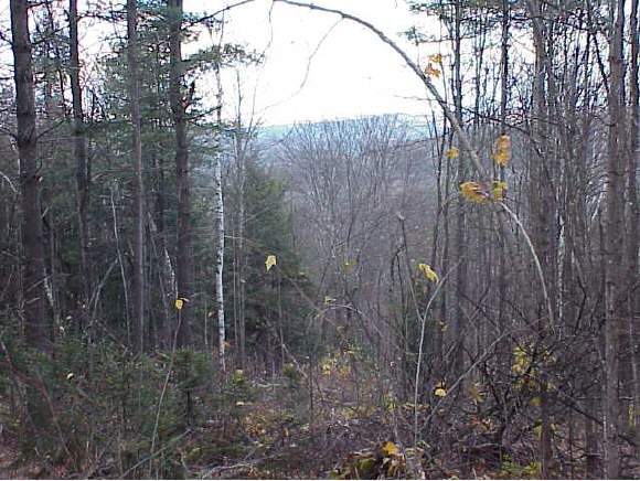 Lot 1 Off Davis Road South Royalton, VT 05068 - Photo 1 of 1 Gallery Image 1