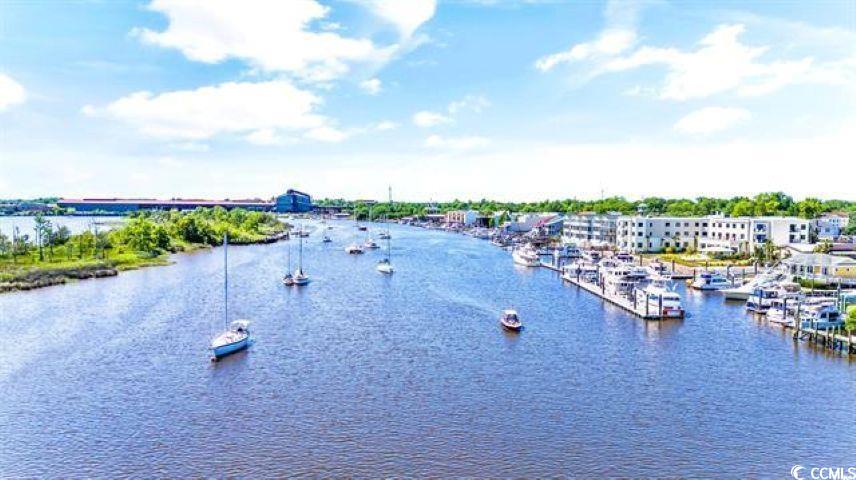 308 Concorde Drive Georgetown, SC 29440 - Photo 38 of 40 Water view with a marina