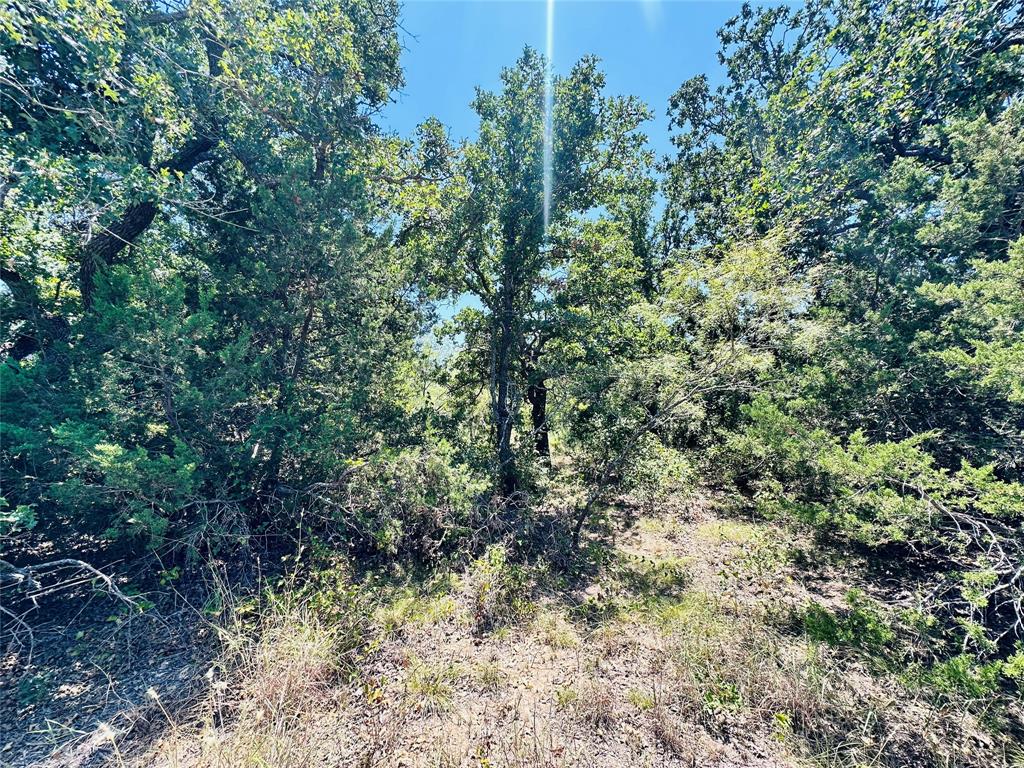 1020 Pleasant Valley Road May, TX 76857 - Photo 5 of 40 Gallery Image 5
