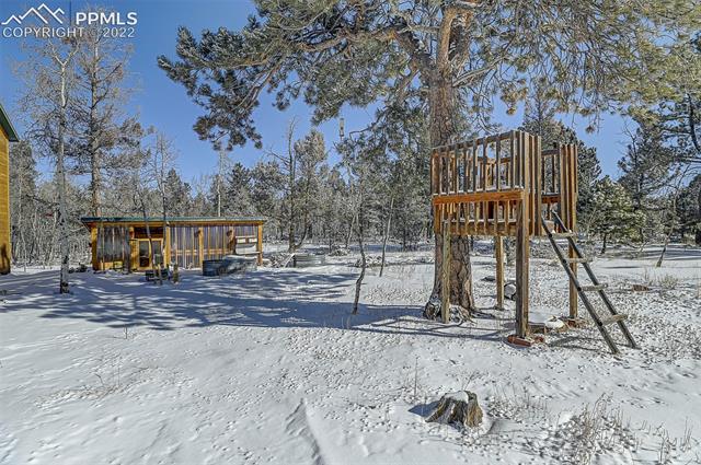 277 Elk View Road Florissant, CO 80816 - Photo 26 of 45