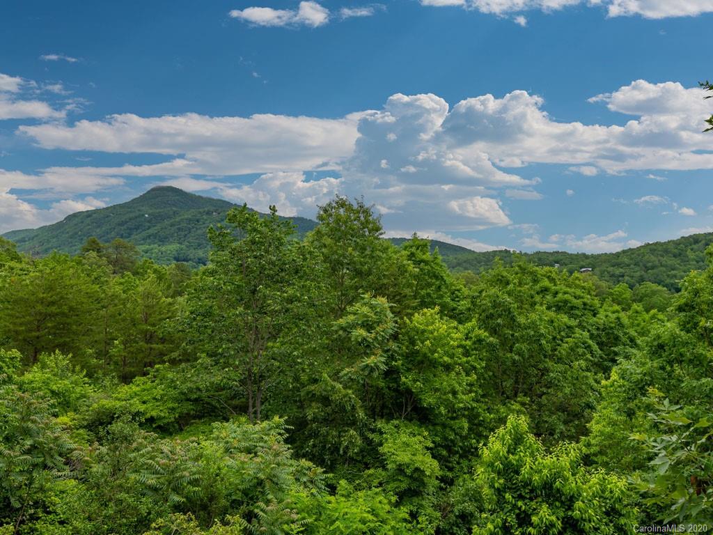 140 O O'Brien Road Lake Lure, NC 28746 - Photo 6 of 41 Gallery Image 6