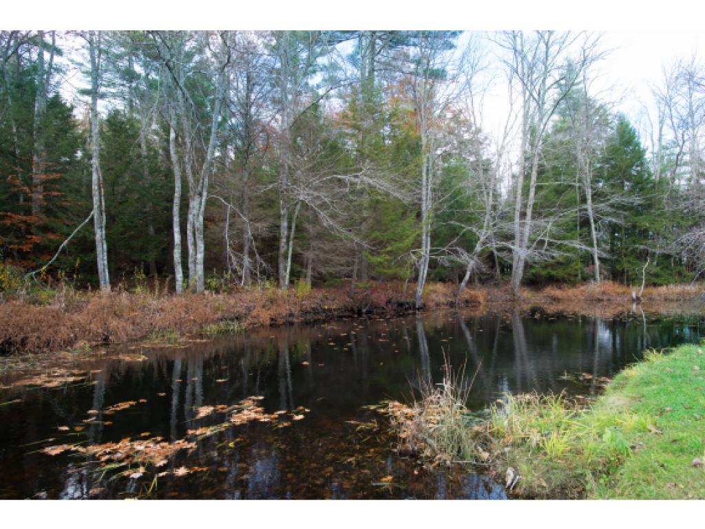 212 Stage Road Nottingham, NH 03290 - Photo 3 of 34