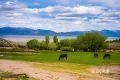 1090 West Cherry Crk Road Ely, NV 89301 - Photo 4 of 28