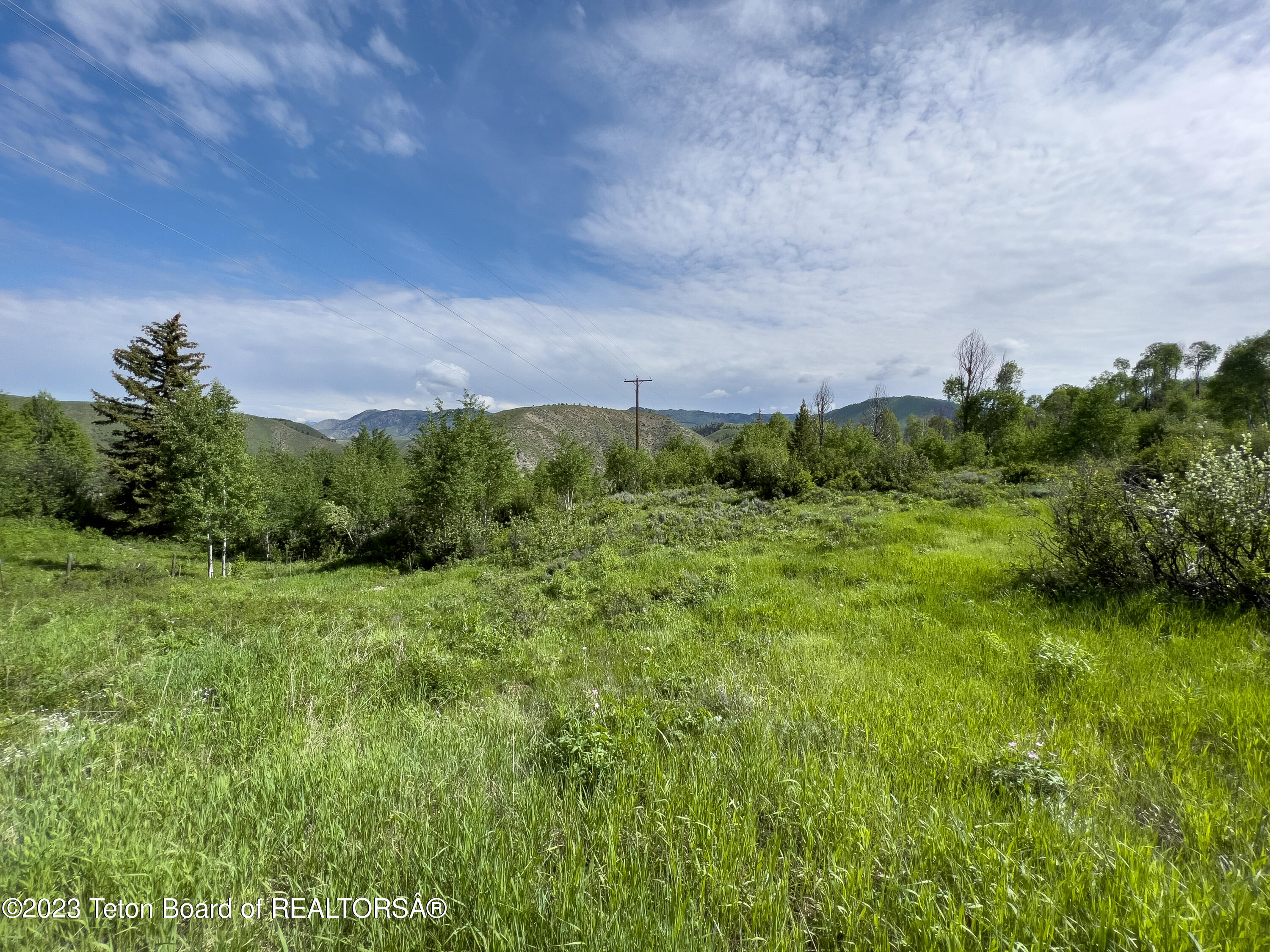 Rodeo Road Jackson, WY 83001 - Photo 9 of 25 Meadow Open Good