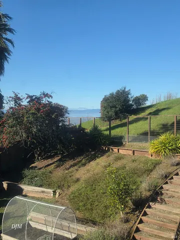 a view of a backyard