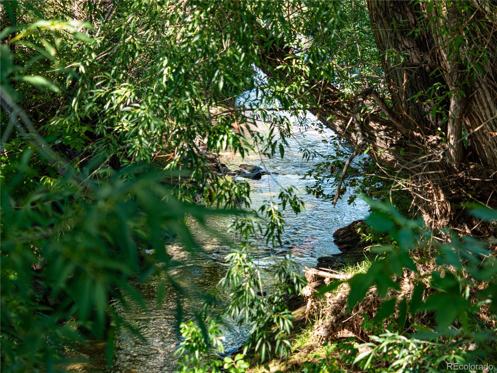 6751 South Downing Circle West Centennial, CO 80122 - Photo 22 of 34 a plant view in yard