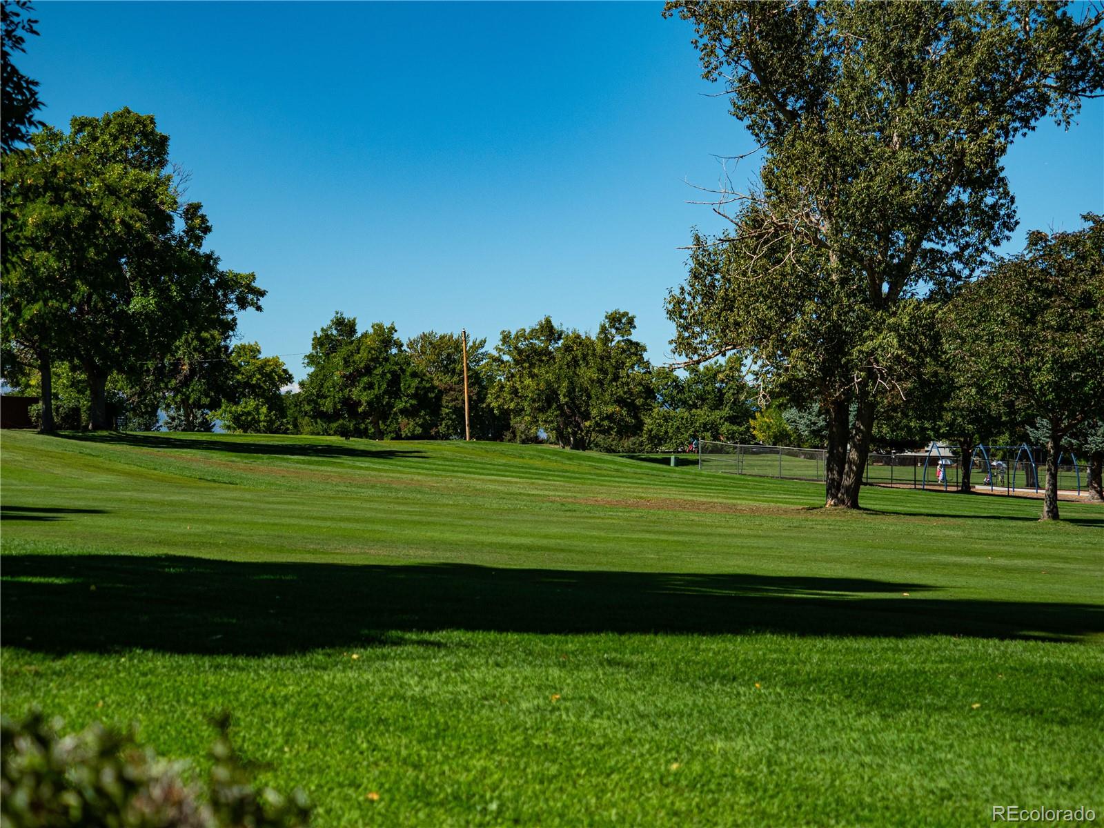 6751 South Downing Circle West Centennial, CO 80122 - Photo 28 of 34 a view of a park and trees