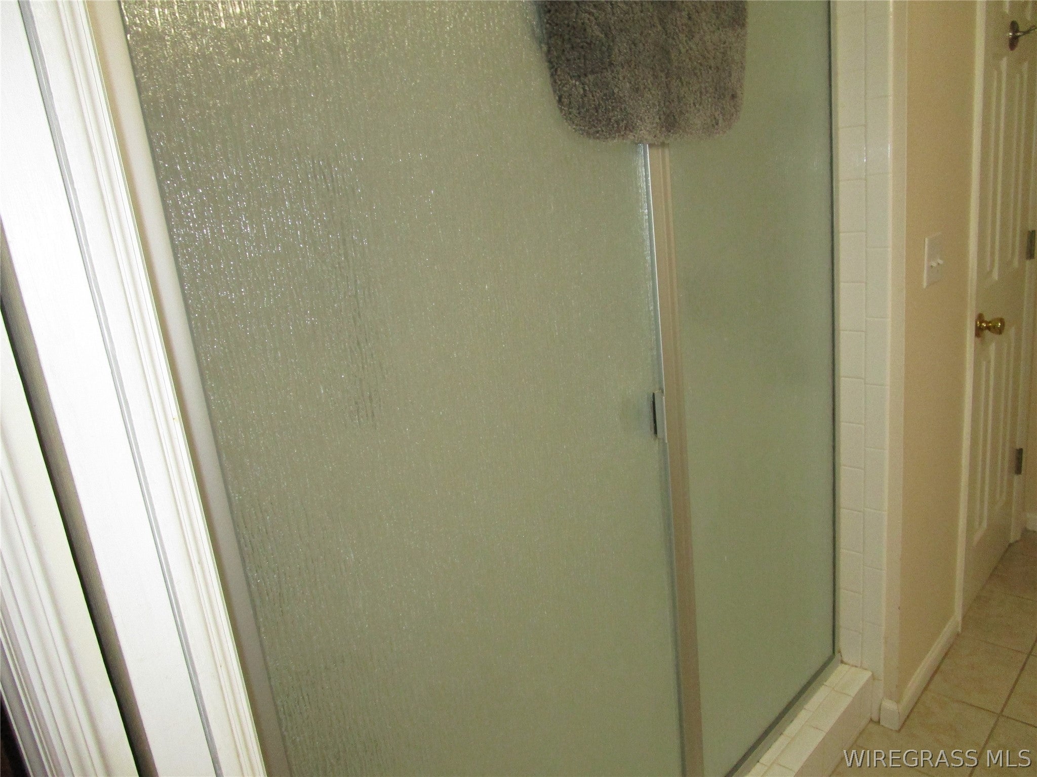 126 Windover Way Enterprise, AL 36330 - Photo 35 of 43 Handicapped accessible shower