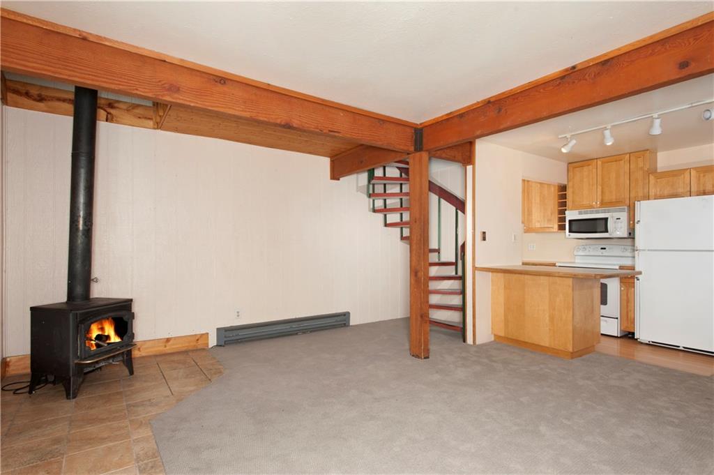 56 Hub Lode Road, Unit 2 Breckenridge, CO 80424 - Photo 3 of 25 Gallery Image 3