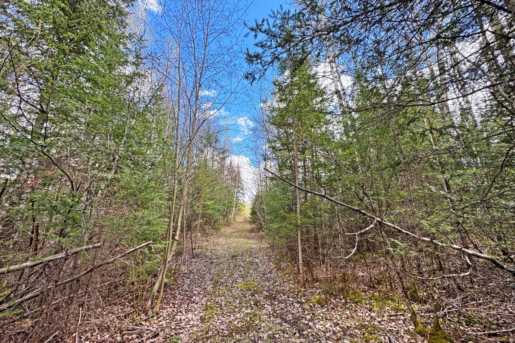 4268 Crane Lake Road Orr, MN 55771 - Photo 17 of 25