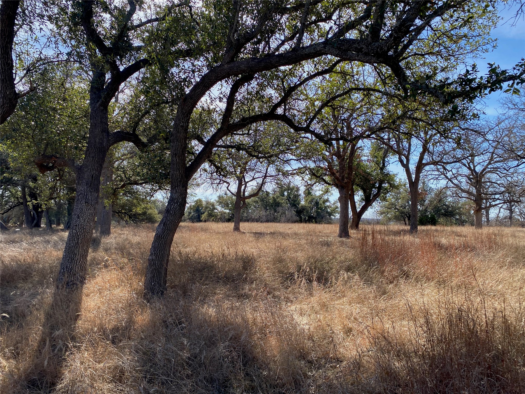 304 Lightning Rnch Road Georgetown, TX 78628 - Photo 5 of 15