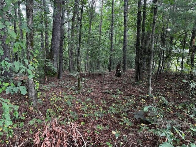 1893 Ridge Road, Unit 4 Hendersonville, NC 28792 - Photo 2 of 15 a view of a forest with trees in the background